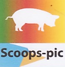 Logo SCOOPS PIC