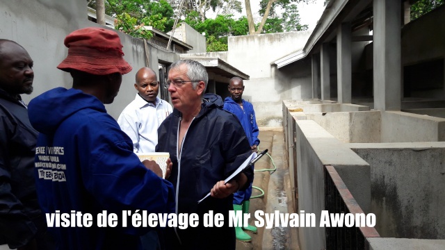 visite de lelevage de MR Sylvain Awono