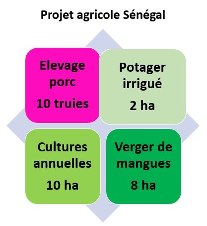 Projet agricole Sngal