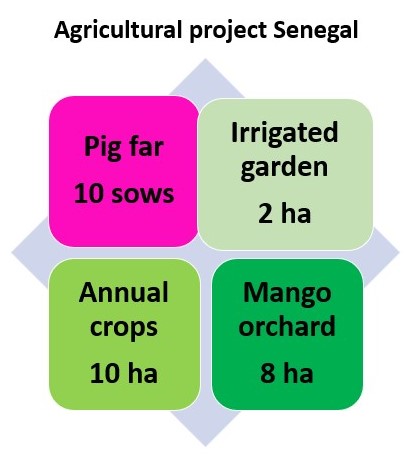 Projet agricole Sngal