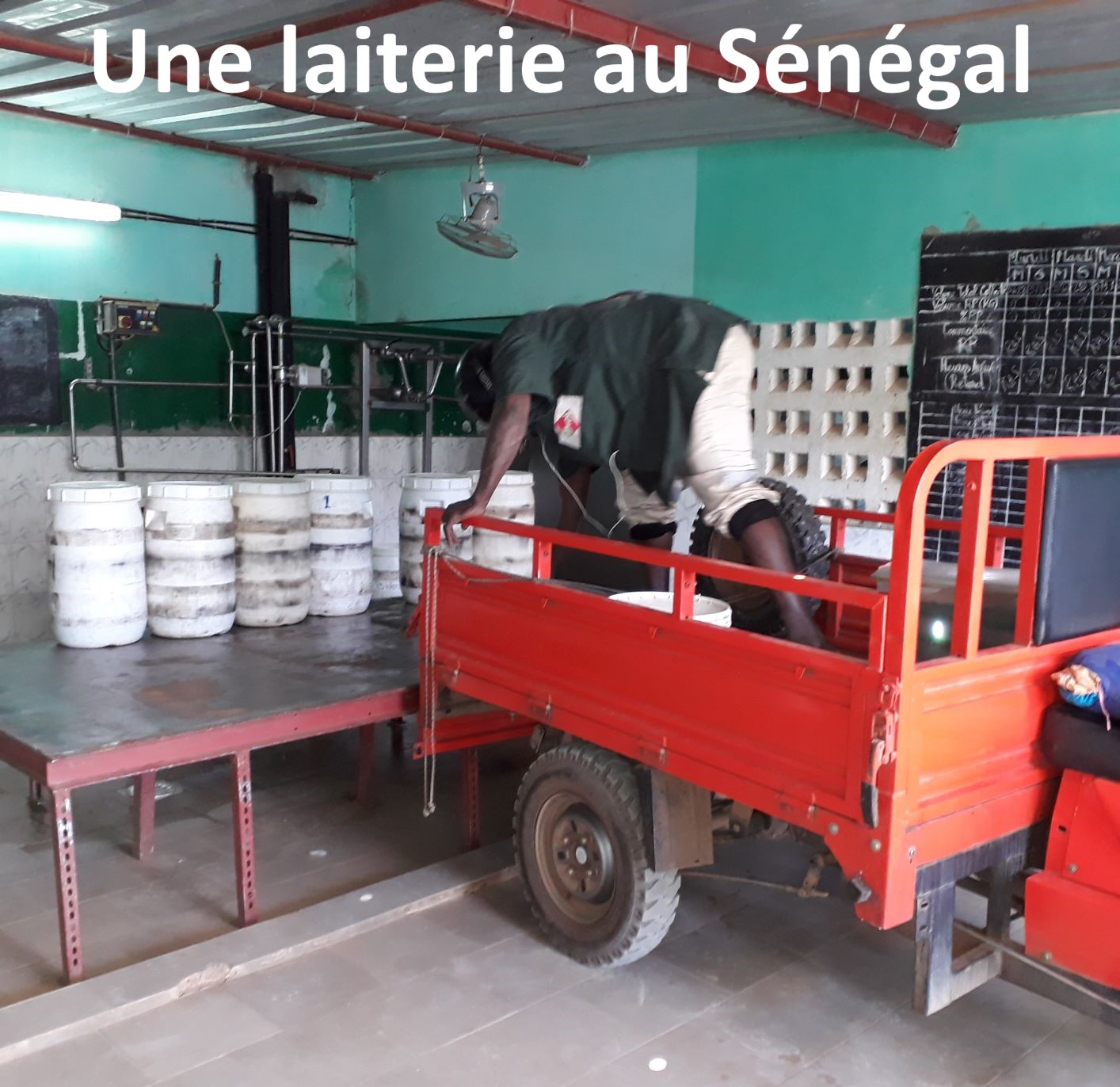 Laiterie au Sngal