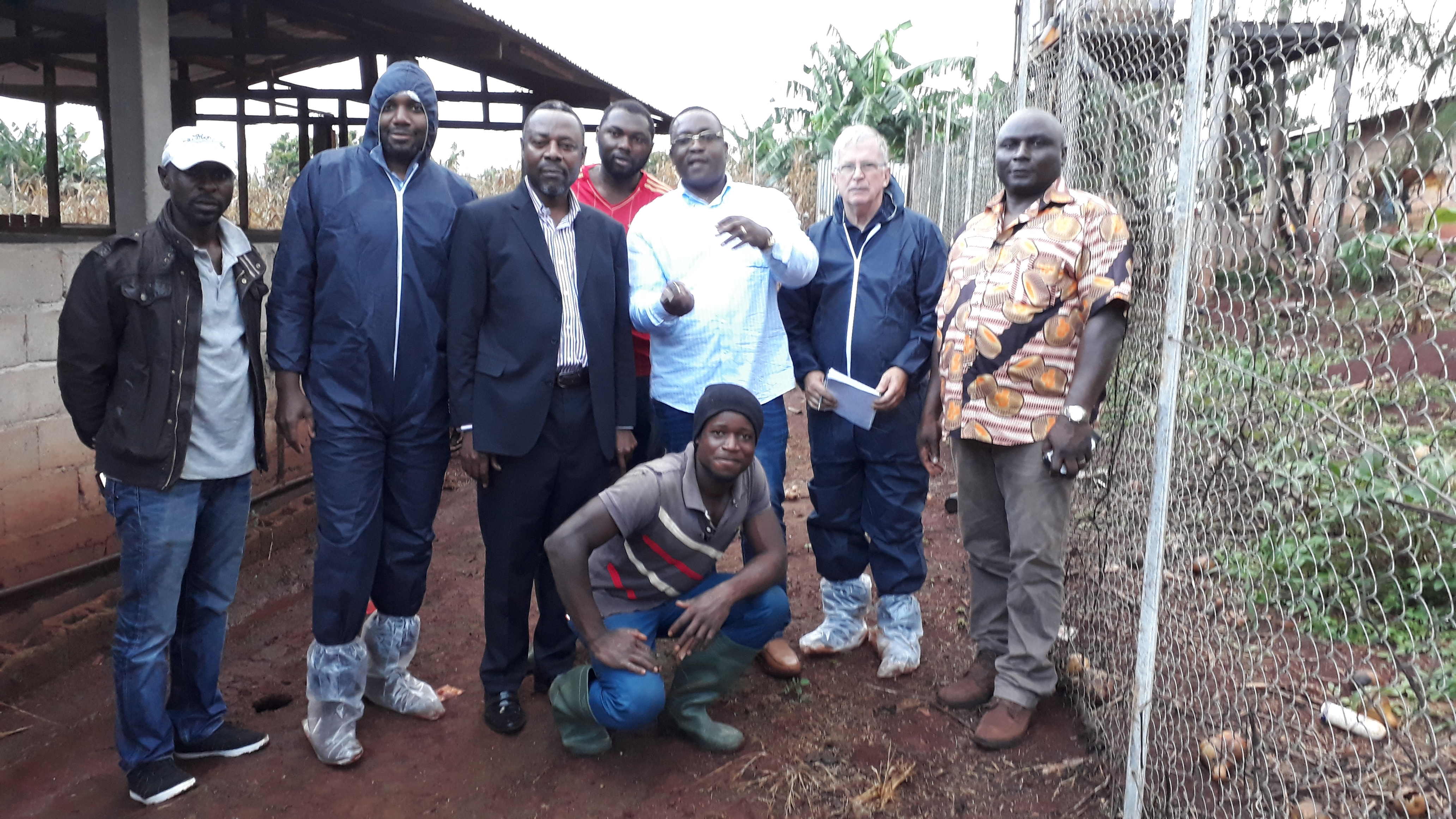 Visite dlevage de porc