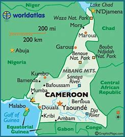 Cate cameroun