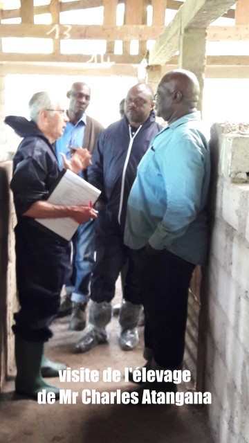 visite de lelevage de Mr Charles Atangana
