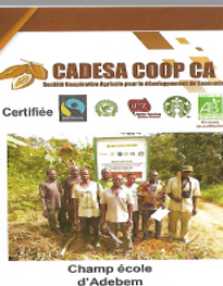 Cadesa