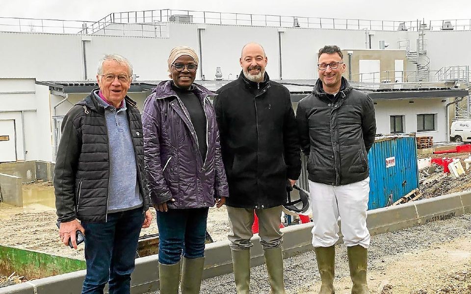 Elevage porc Afrique