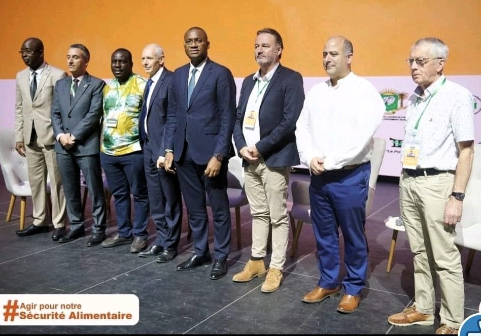 Elevage porc Afrique