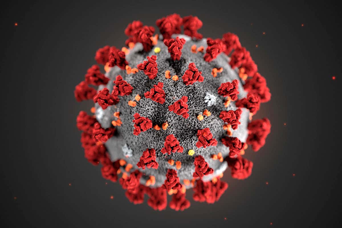c0481846 wuhan novel coronavirus illustration spl