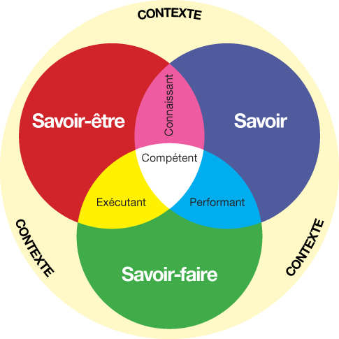 schemacompetence