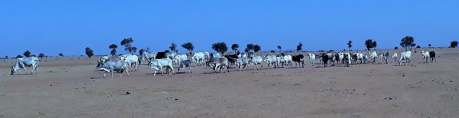 AVe in Senegal, May 2018